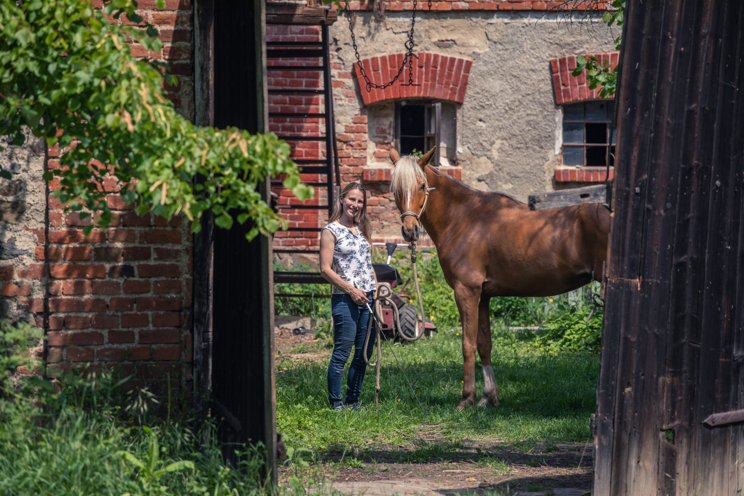 Obrázek ženy držící koně